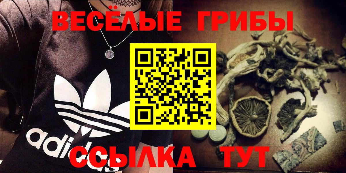 Псилоцибиновые грибы GOLDEN TEACHER Малоярославец